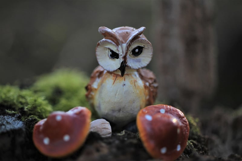 Enchanted Decor